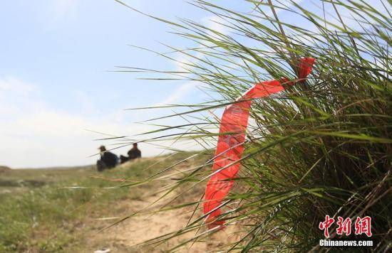 如何跑山地越野马拉松，策略与技巧