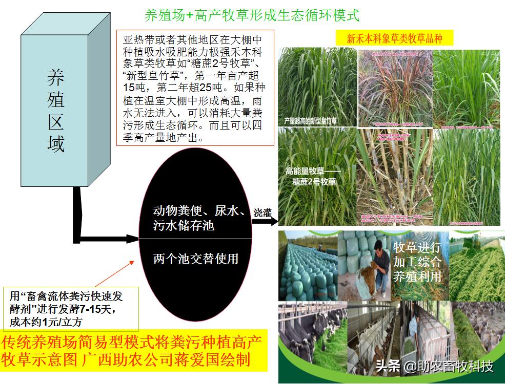 双层水产大棚，现代水产养殖的新选择