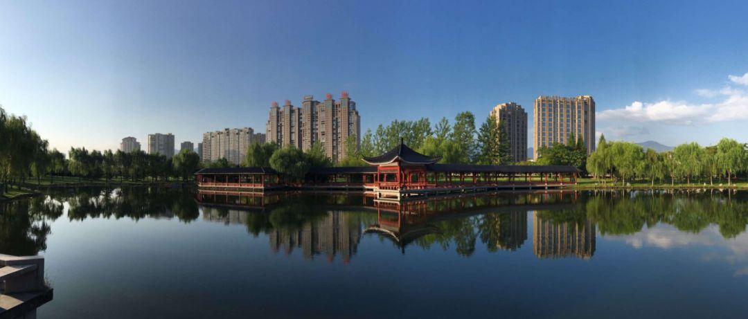 森林开局新手攻略，步步为营，开启冒险之旅