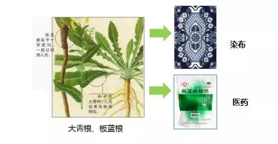黄金渔药品，探索神奇疗效与健康奥秘