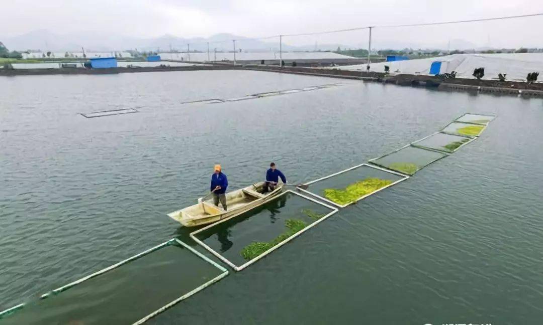 2020年水产大棚搭建，技术革新与可持续发展的融合之路