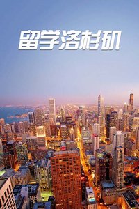 芝加哥移民专业的多元融合与发展动力