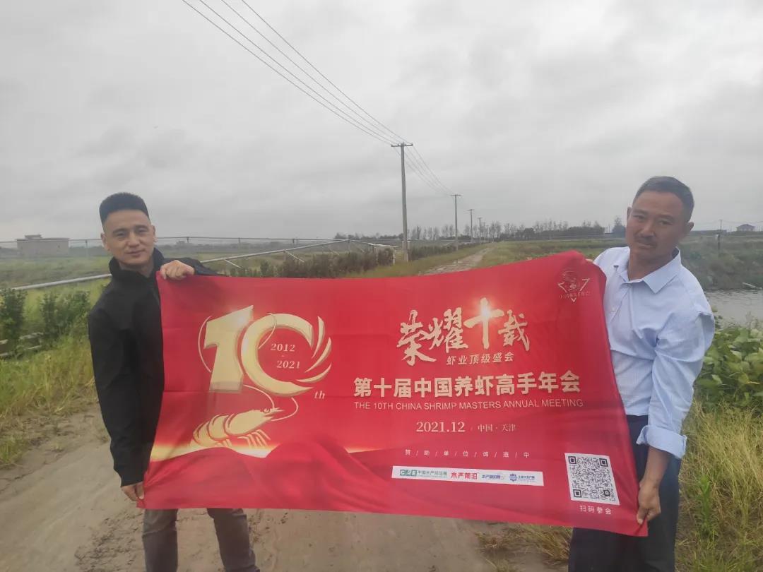 大棚虾苗标粗技术，提升养殖效率与品质的关键环节