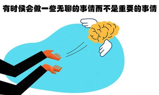 探索太聪明表情包的世界，一种独特的网络文化现象