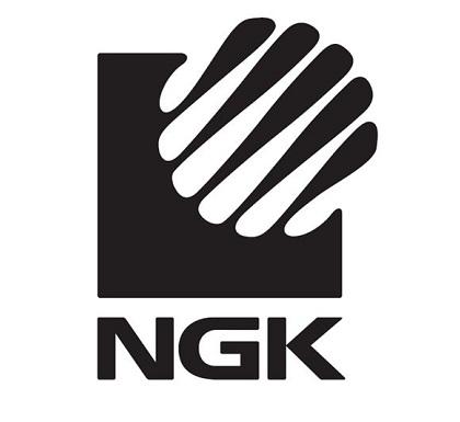 NGK图标照片，探索其背后蕴含的意义与价值