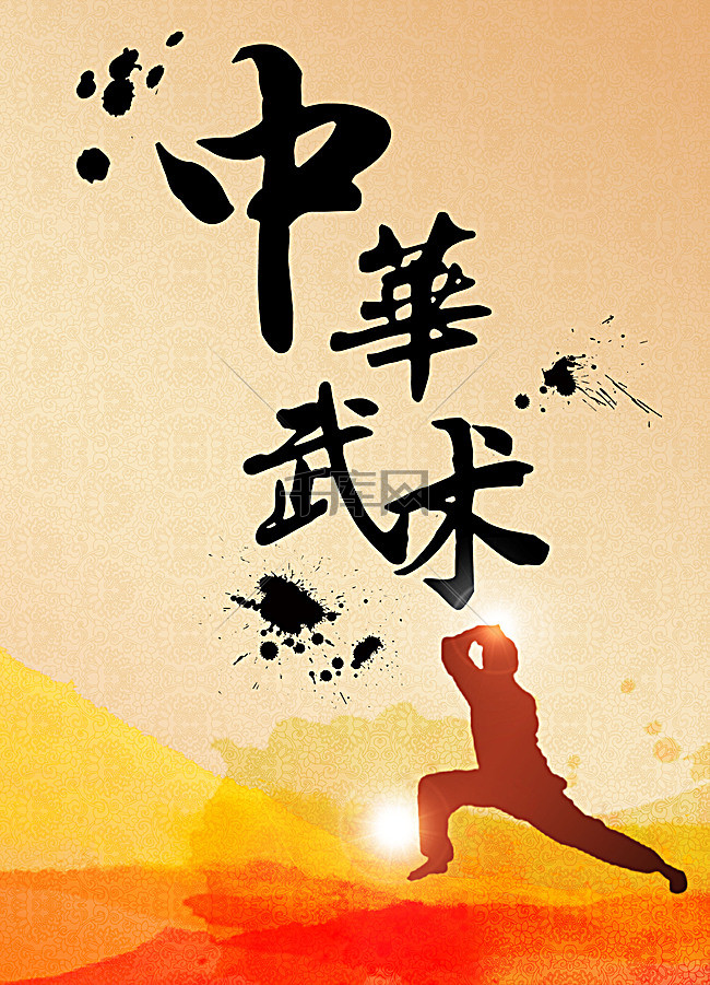 我想买的武术拳谱，探寻古老武术的奥秘