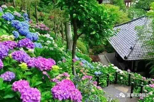 湖南庭院花卉品种及其独特魅力