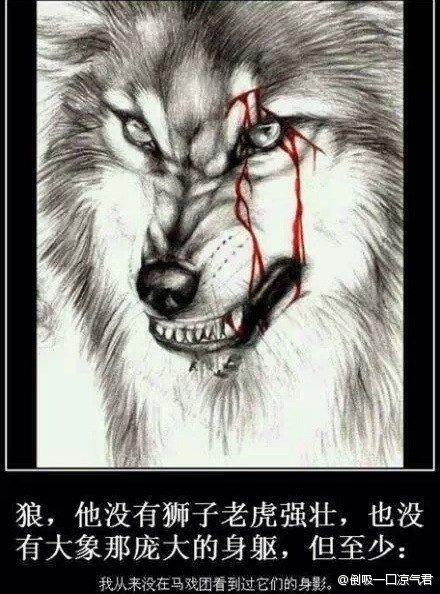 野狼与玛莉表情包，跨越物种的友情与创意交流