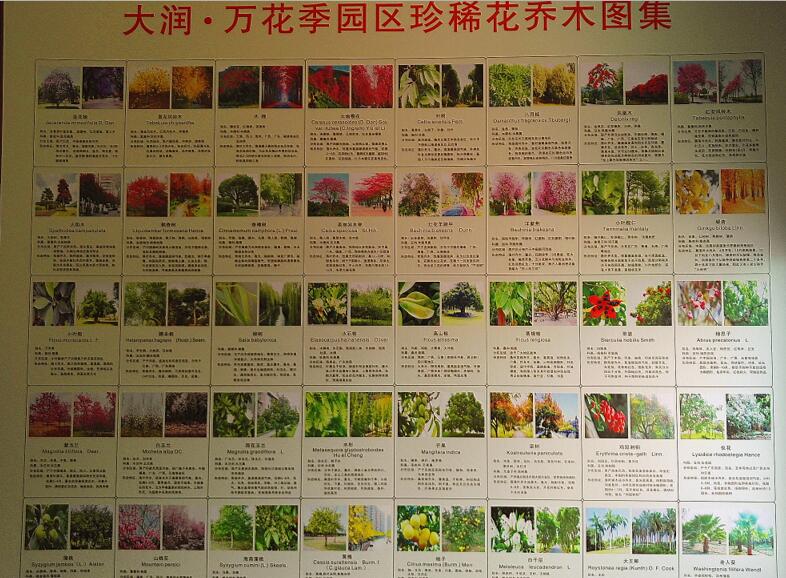 园林植物品种多样性的意义