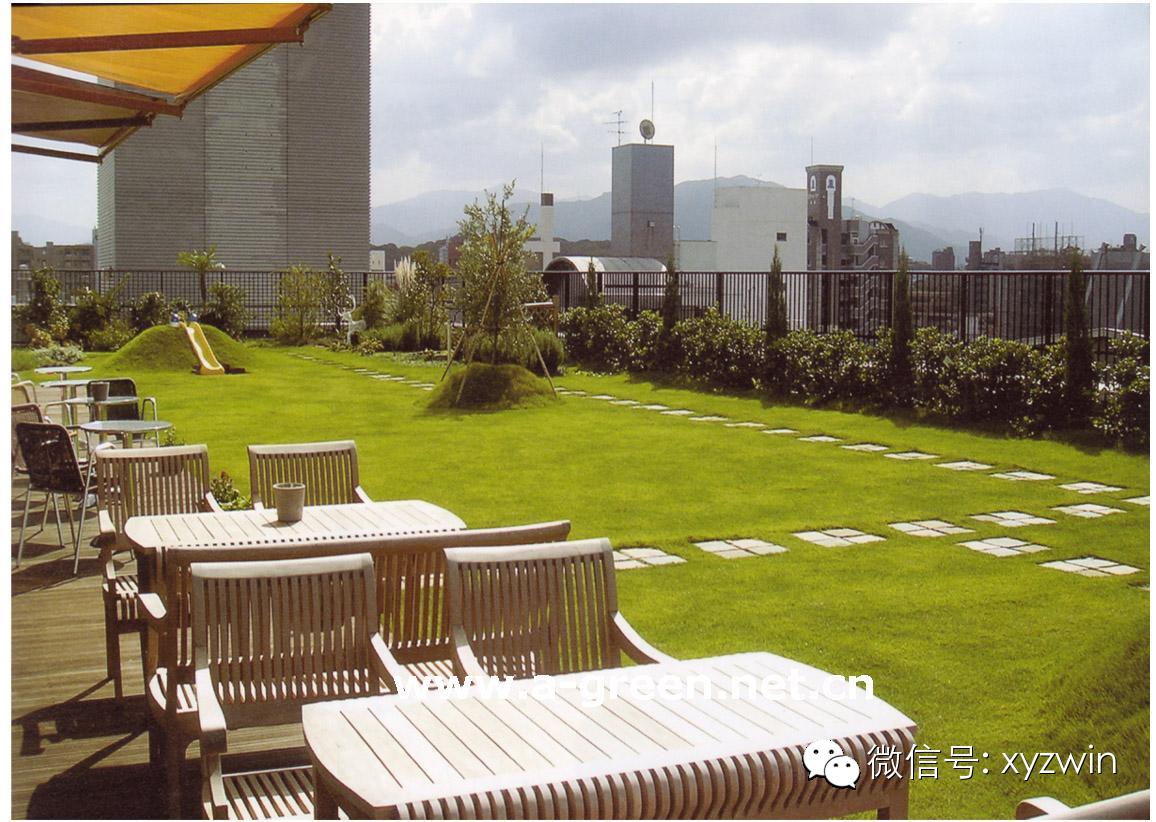 屋顶绿化草坪，品种选择与应用