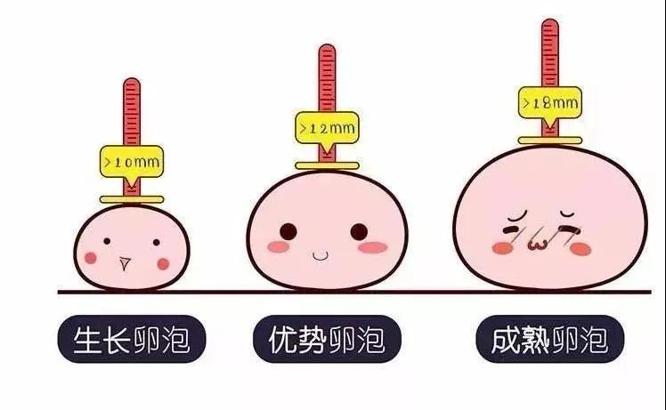 取卵前夜针，时间与准备的重要性